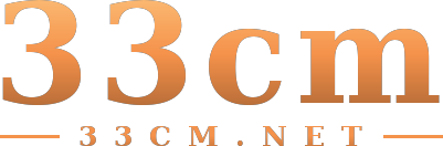 33cm logo